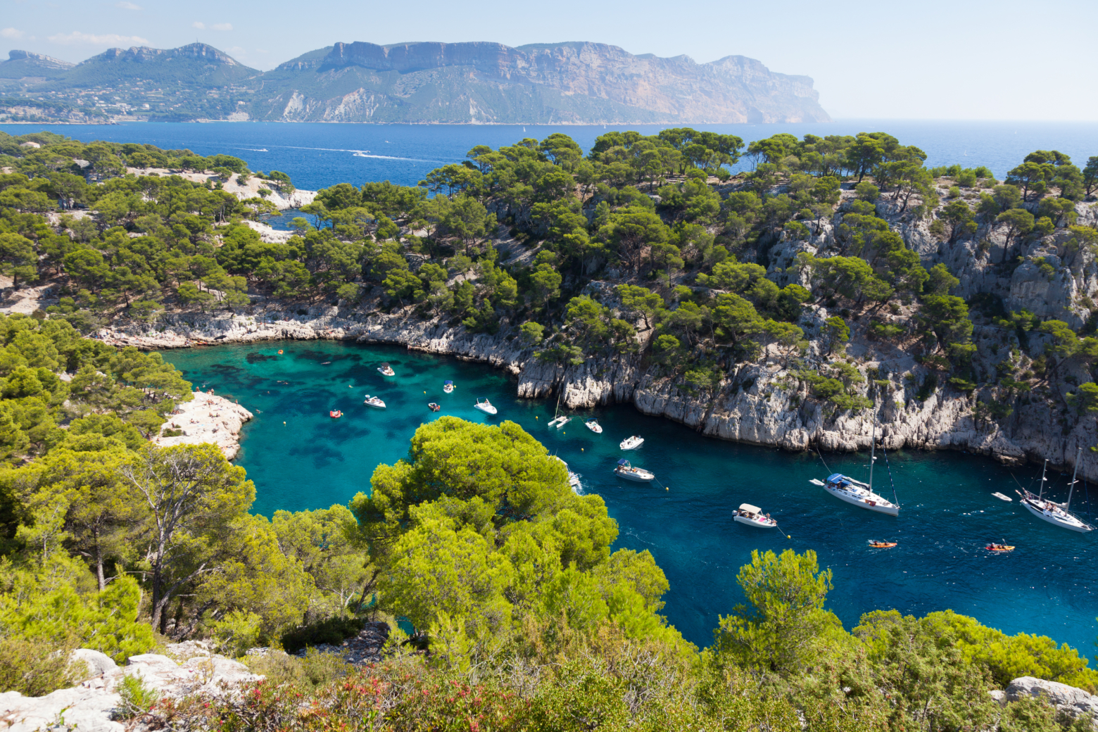 Boat Trips & Local Excursions in Marseille