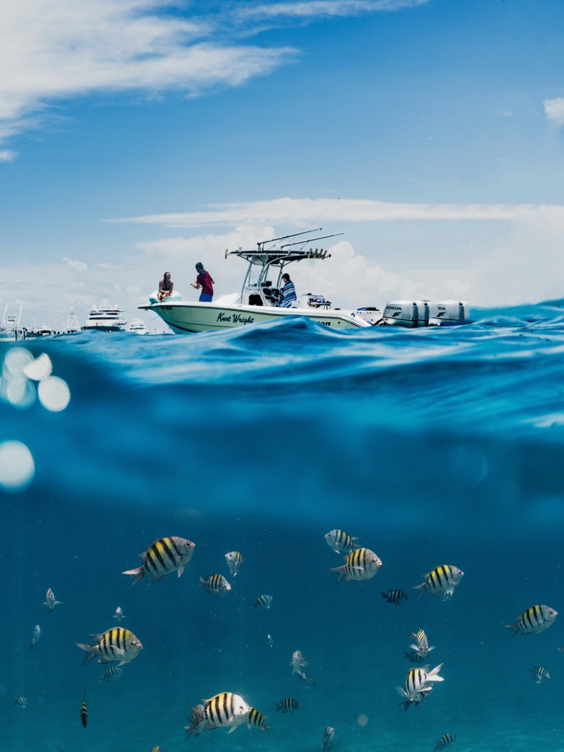 Book a Guided Fishing Trip in Ibiza
