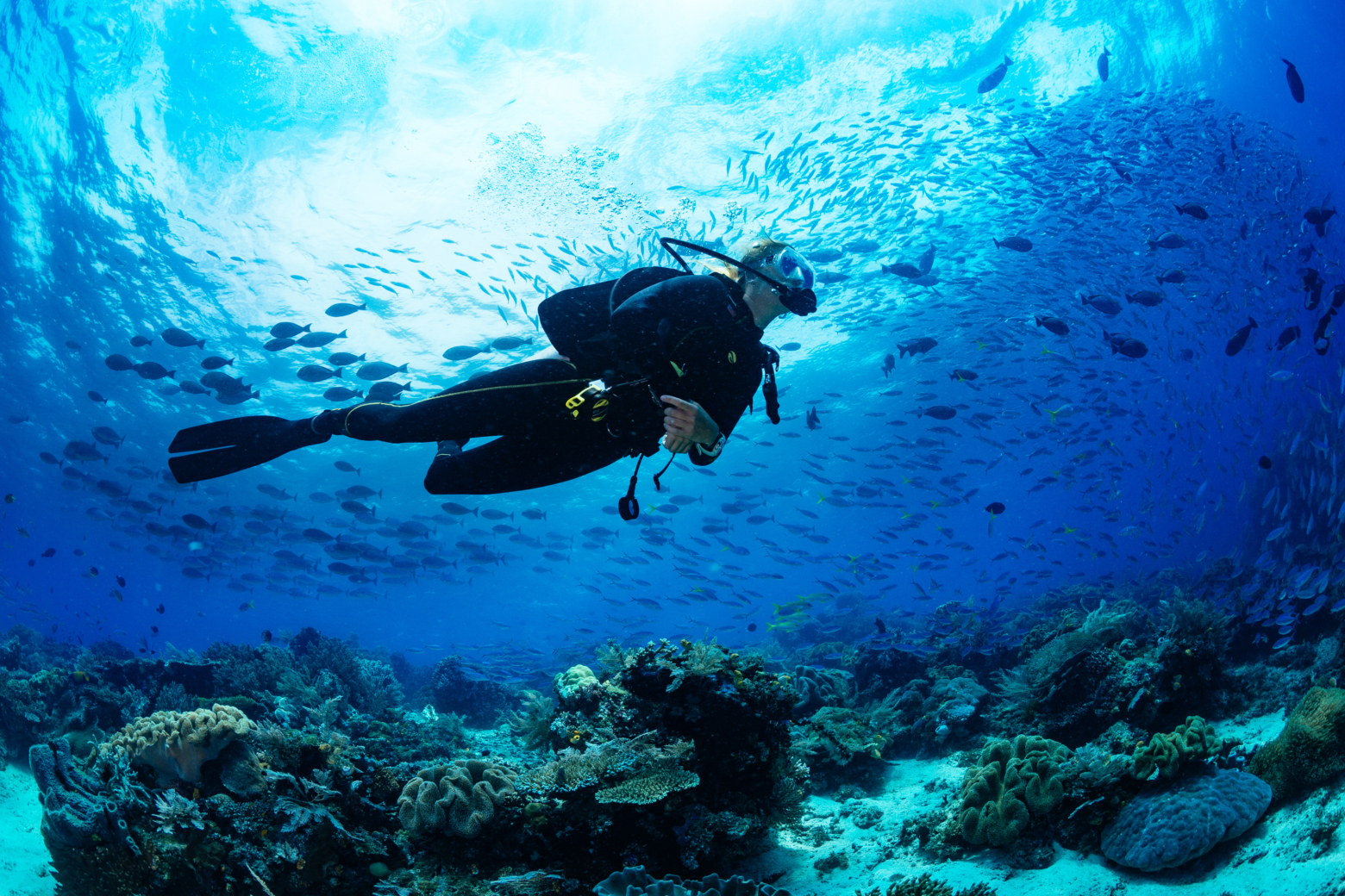 Scuba diving charters and boat trips in Bahamas